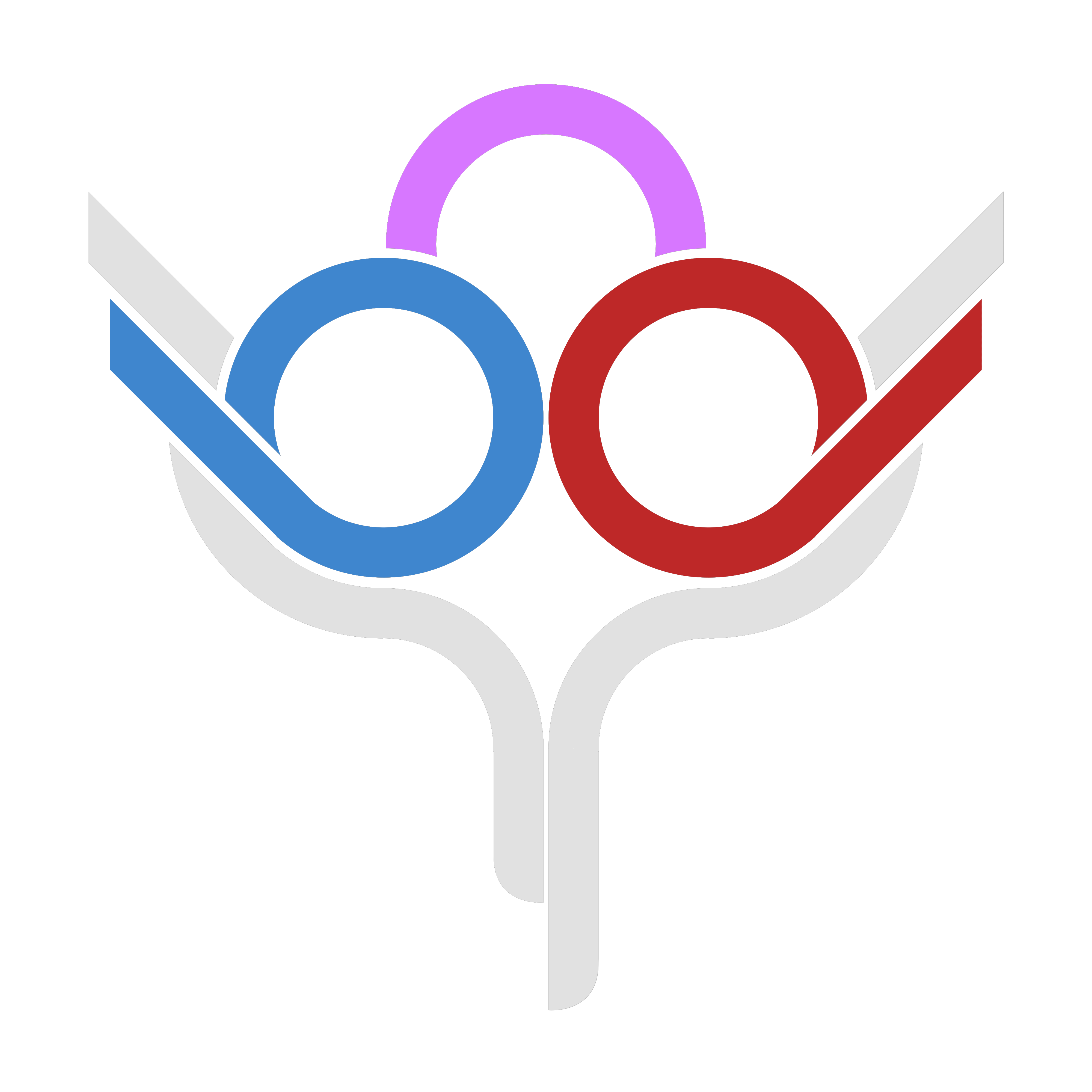 DSL 2024 logo basic color version