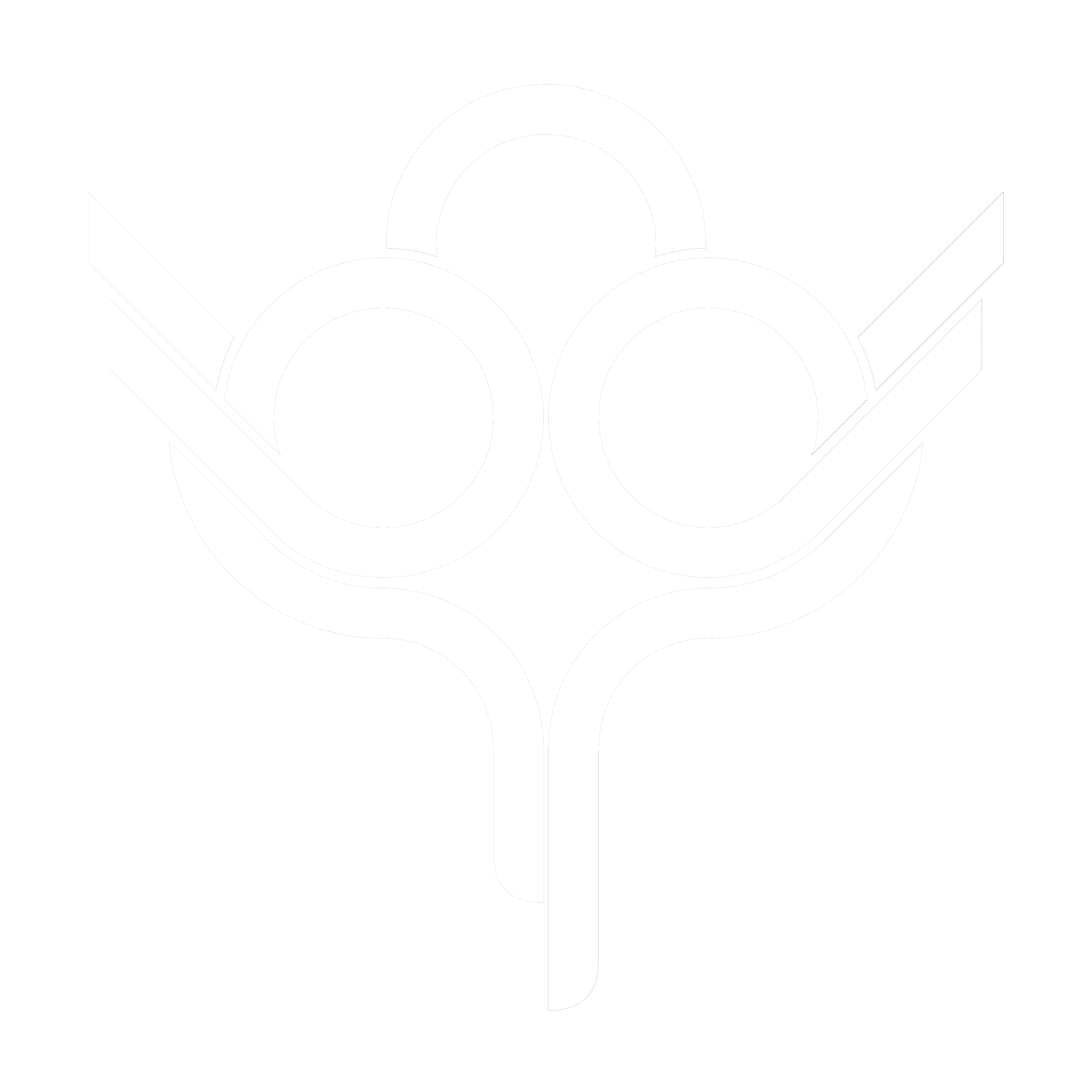 DSL 2024 logo white version